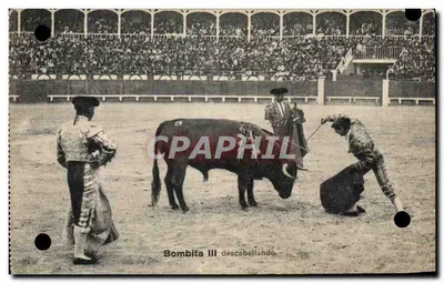 Luta de touros — Bombita III descabellando — Fot. Lacoste - Madrid