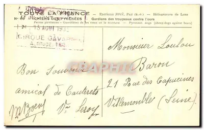 Dwa psy pyreńskie — Éditions Jové, Pau — N° 66 — Rewers