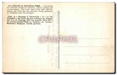 Un angolo della Nuova Terra — 59. — Editore non visibile — Verso