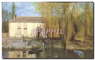 Bilhete postal semimoderno Marais Poitevin Para Seus Amigos