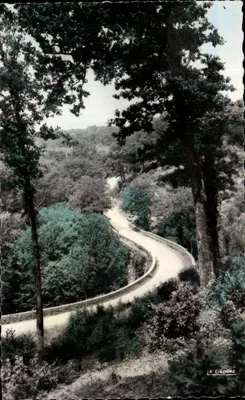 Estrada sinuosa na floresta — A Garça — editor A Garça