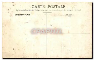 Les Hôtes du Pignadar — décor de pin avec écureuil et merles — F. Bernude, phot. Atiuzaux (Landes) — Verso