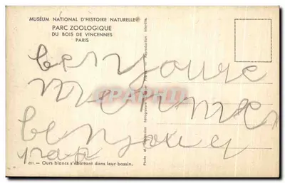 Urso-branco se divertindo em seu tanque — Museu Nacional de História Natural, Parque Zoológico do Bois de Vincennes, Paris — n° 201 — Verso