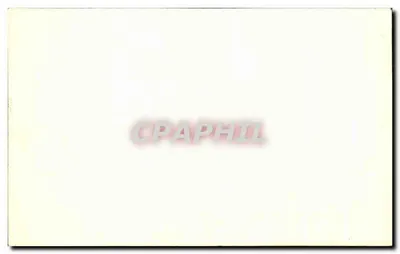 Novo casamento — casal em um carro — Verso