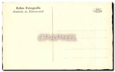 Lübeck — Widok bramy Holstentor i kościoła św. Martyna — Echte Fotografie — Rewers