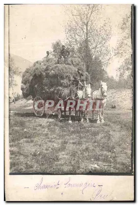 Charrist Louvozire — Charriste Louvozire — Paul