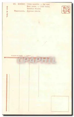Skalista brzeg przy zachodzie słońca — obraz P. T. — Salon de Paris, n° 218 — Rewers