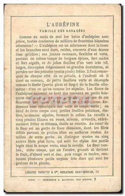 Aubépine — Hachette et C° — E. Fraillety Imp — Rewers