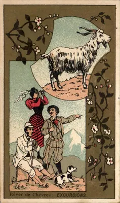 Rêver de Chèvres : EXCURSIONS — J. Thibert, 17 Rue Audry-de-Puyravault, Rochefort-sur-Mer