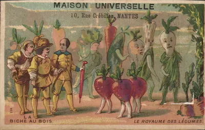 A Cerva no Bosque — O Reino das Hortalicas — Maison Universelle, 10 Rue Crébillon, Nantes