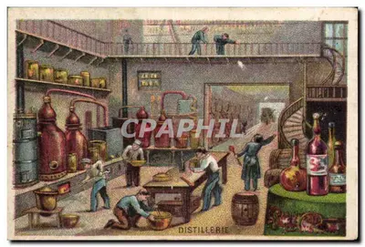 Destilaria — cena de oficina — Paul Lassèse, Cambrai