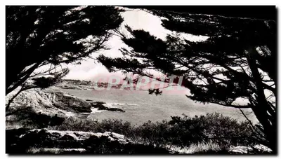 Préfailles — A costa vista através das árvores — F. Chapeau, editor Nantes