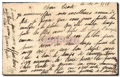 Rosa — Buon compleanno — Pittinus — Verso