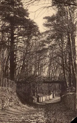 St-PRIX (S.-et-O) — Sob bosque — A. Pigniet, fotógrafo