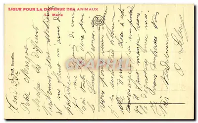 Maternidade — A doce mistério da natureza — Louis Herbois-Hauroy — Verso