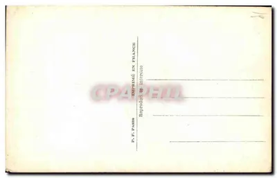 Pies o długich włosach — portret — seria 7, wydawca nieznany — Rewers