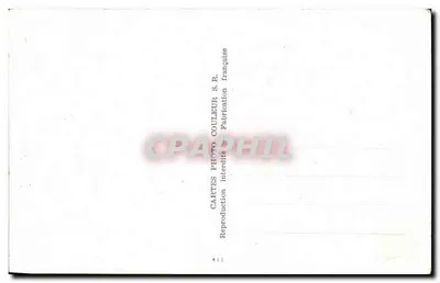 Fleurs de carthame — composition florale — Cartes Photo Couleur S.R. — Verso