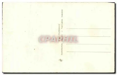 Bukiet różowych kwiatów — ilustracja botaniczna — St. Florimace, Francja — Rewers