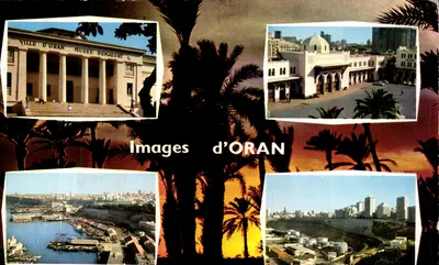 Images d'ORAN — Ville d'Oran, Musée Demaeght, port, ville — Éditions JEFF, n°1510