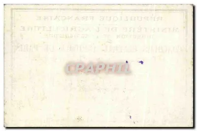 Concurso Geral Agrícola de Paris — 1936 — Ministério da Agricultura — Verso