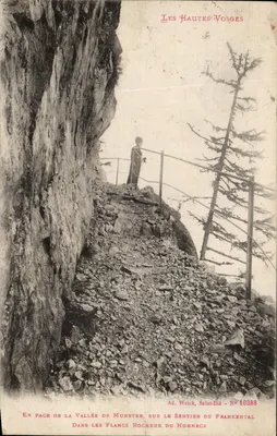 Wysokie Vosgi — naprzeciwko Doliny Munster, na ścieżce Frankental — Ad. Weick, Saint-Dié, N° 10388