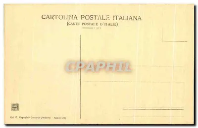 Pompei - La Basilica — Ed. E. Ragozino Galleria Umberto - Napoli 239 — Verso