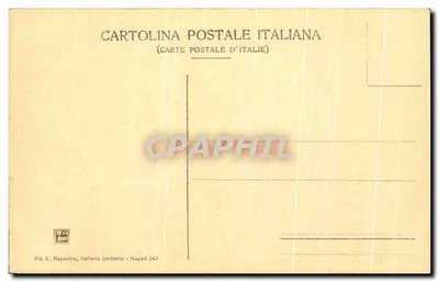 Pompeia — Via e Templo da Fortuna — Ed. E. Ragozino, Galleria Umberto - Napoli 242 — Verso