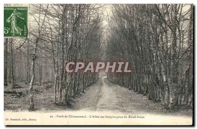 Las Châteauneuf — Aleja Przeciągnięć widziana z rondpunktu — Ch. Foucault, wyd., Dreux