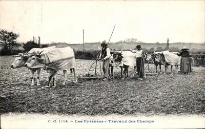 Os Pirineus — Trabalhos nos Campos — C.C. 1114