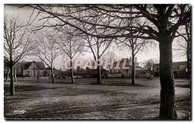 PERSAC (Viena) — Campo de Feira — Foto Cosmet Maloch