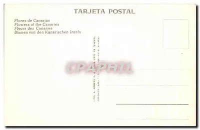 Flores das Canárias — Quatro flores tropicais — Lito. A. Rowero S. & Santa Cruz de Tenerife — Verso