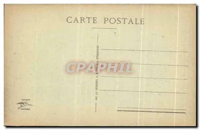 Front w Voszach — Widok lasu — Reichackerkopf — nr 202 — Rewers