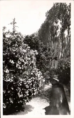 Ruelle-sur-Touvre — Um Lugar Encantador — P. GASCON
