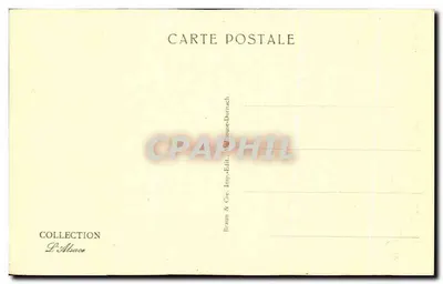 Wildenstein — Widok ogólny — Braun & Cie, Dornach — Rewers