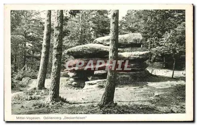 Środkowe Vogesy. Odillenberg „Beckenfelsen“ — wydawca NAAS'SCHE DRUCKEREI TITELDRUCK MANNHEIM
