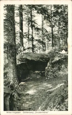 Mittel-Vogesen. Odillenberg «Druidenhöhle» — widok jaskini druidów w lesie