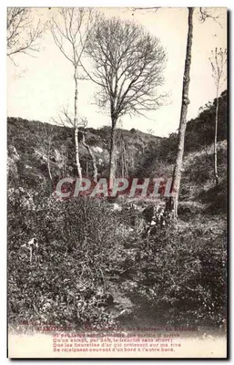 कारूलेस — चित्रकारों के जंगल में — नदी