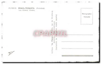 Cigogne — Grands Viviers — Wydawnictwo André Lecamte — Rewers