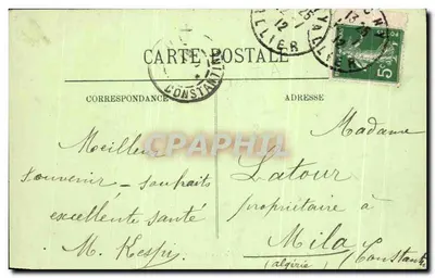 Vichy — Kąt Starego Parku w kierunku ogrodnictwa — LL. n°240 — Rewers