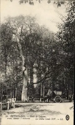 Rethondes — Floresta de Laigues. O Carvalho Luís XIV — Croset, Editor em Rethondes