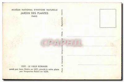 O Velho Robinier — Museu Nacional de História Natural, Jardim das Plantas, Paris — Foto télégéravure Frères — Verso