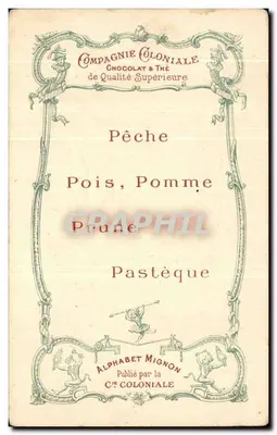 Mignon-Alphabet — Buchstabe P — Huhn, Pfifferling, Taube, Guineapfennig — Verlag der Kolonialgesellschaft, Paris — Rückseite