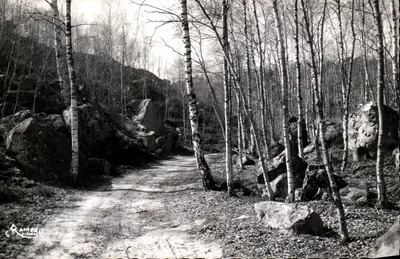 Floresta de Milly-la-Forêt — Subfloresta — Edição d'Art Rameau