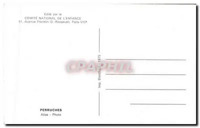 Perruchy — cztery gatunki — Wydane przez KOMITET KRAJOWY DLA DZIECI — Rewers