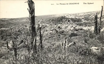 O Plateau de CRAONNE — The Upland — n° 221