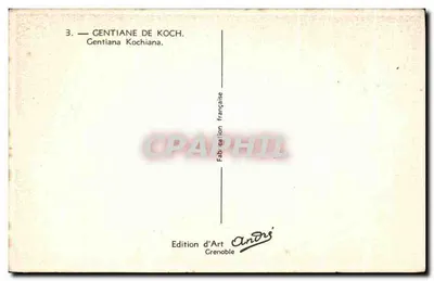 Gentiana de Koch — Gentiana Kochiana — Edición de Arte André, Grenoble — Reverso