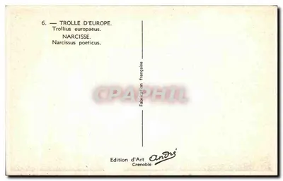 Narcyzy i trollie Europy — Wydawnictwo Art André, Grenoble — Rewers