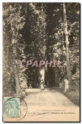 Ozoir-la-Ferrière — Alley of Chestnuts — Château de La Doutre