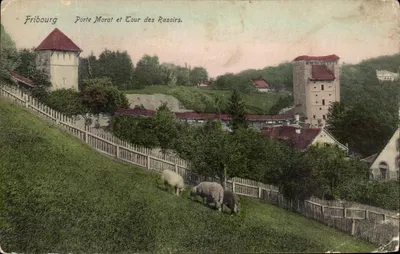Fribourg — Porte Morat et Tour des Rasoirs — éditeur W. Stucke, Fribourg