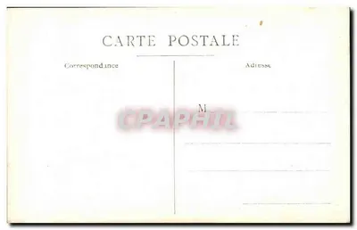 Porc sauvage — paysage rural — Carte postale — Rewers